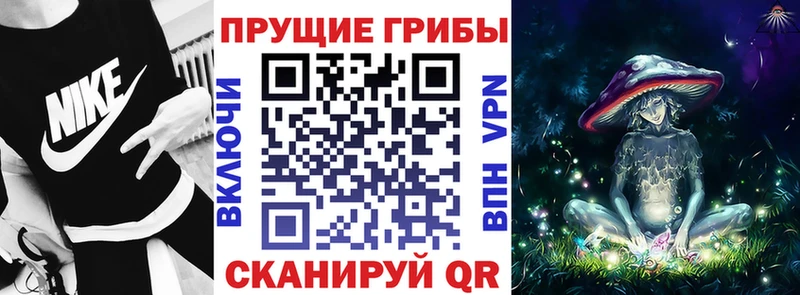 Купить где  Нарткала  Псилоцибиновые грибы мицелий 